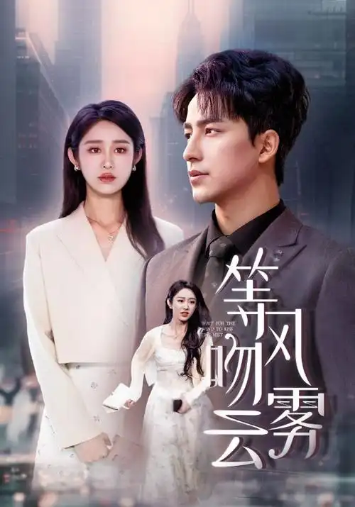青春交响曲电视剧封面